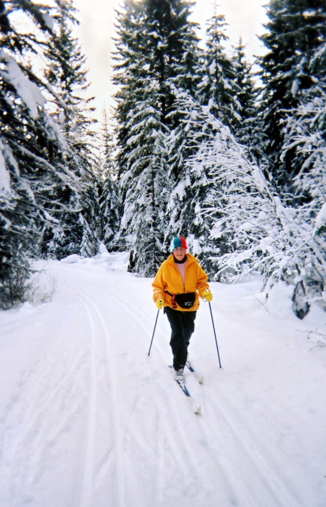 Helmcken Falls Lodge Cabin Rooms And Rv Park Clearwater Εξωτερικό φωτογραφία